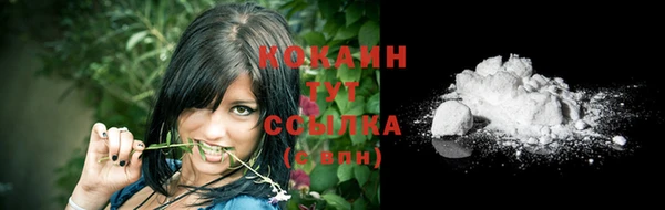 крисы Заводоуковск