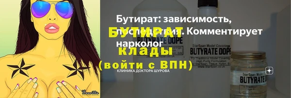 индика Весьегонск