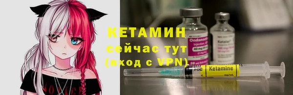 прущие грибы Заволжск