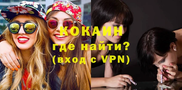 прущие грибы Заволжск