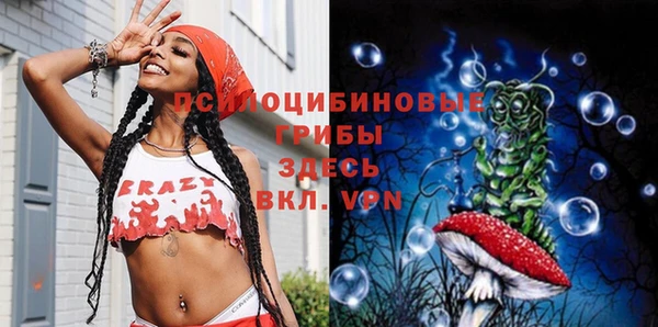 прущие грибы Заволжск