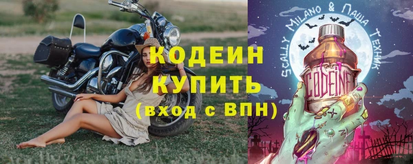 прущие грибы Заволжск
