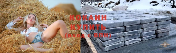прущие грибы Заволжск