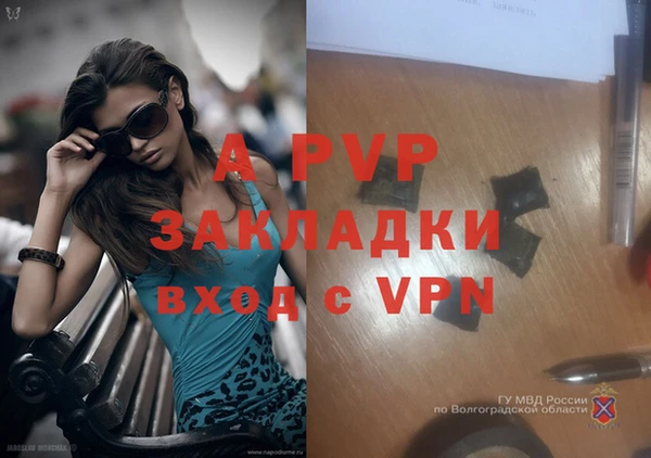 амф Заволжье