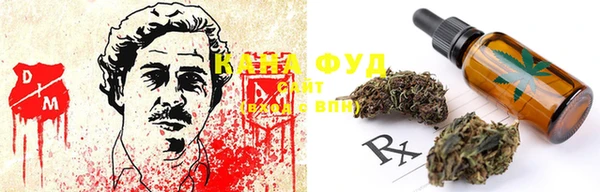 прущие грибы Заволжск