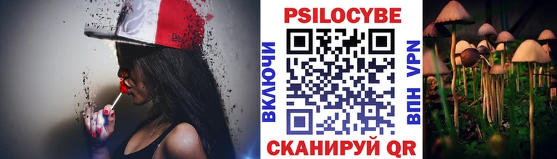 Псилоцибиновые грибы Psilocybe  Кимовск 