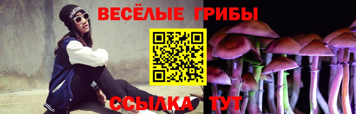 Галлюциногенные грибы Psilocybine cubensis  Вход с VPN  Псилоцибиновые грибы мицелий  Кимовск 