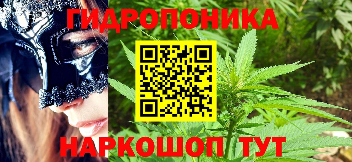 Каннабис OG Kush  Вход с VPN  Бошки марихуана сатива  Бошки марихуана марихуана  Кимовск  Конопля THC 21% 